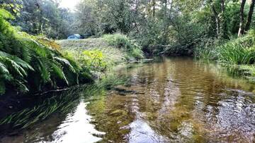 Фото номера Бунгало у воды Загородные дома Дом с камином в лесу г. Pogorelka 89