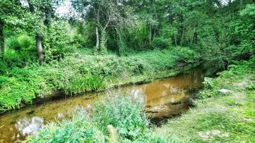 Фото номера Бунгало у воды Загородные дома Дом с камином в лесу г. Pogorelka 91